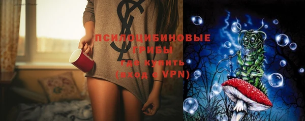 PSILOCYBIN Алзамай