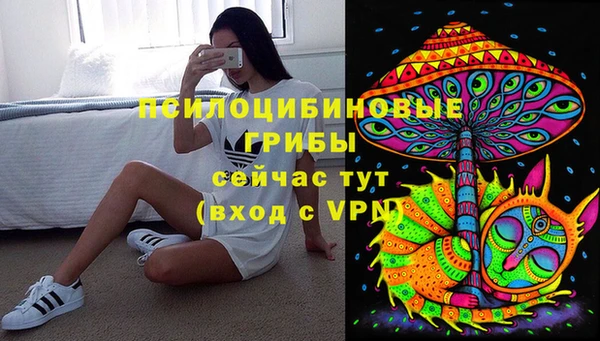 круглые Алексеевка