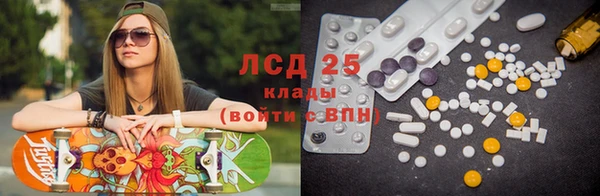 PSILOCYBIN Алзамай