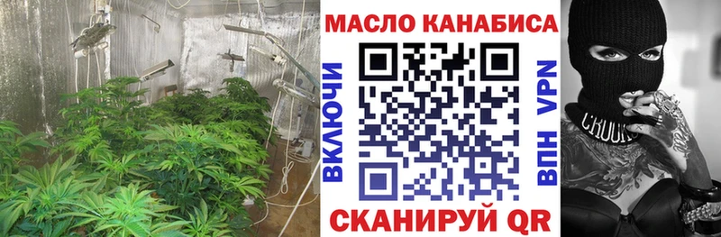купить  сайты  MEGA как зайти  Дистиллят ТГК THC oil  Ревда 