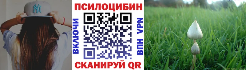 купить наркоту  Ревда  MEGA как войти  Галлюциногенные грибы мицелий 